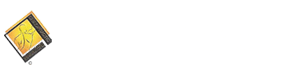 Chiropractic Redlands CA Ray Chiropractic